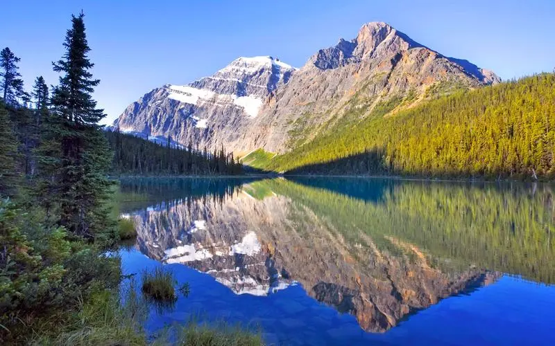 创意高效数字化